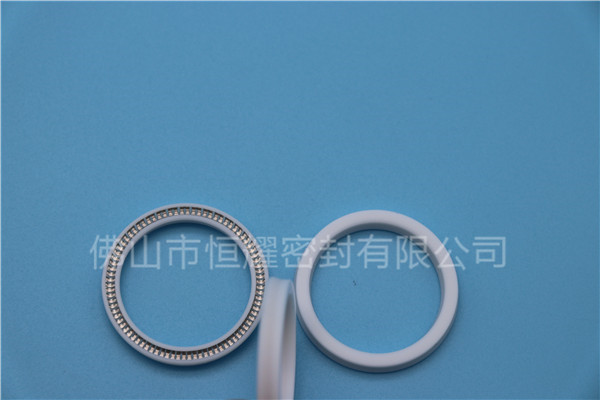 HOA、HVA軸用泛塞封 (16)