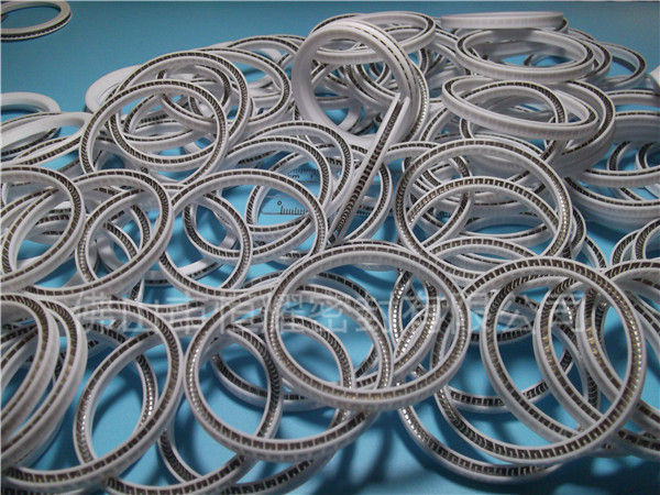 HOA、HVA軸用泛塞封 (2)