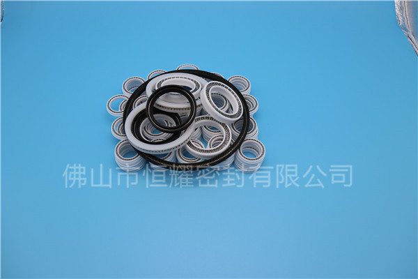 HOB、HVB孔用泛塞封 (6)