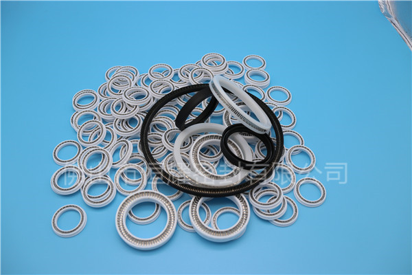 HOB、HVB孔用泛塞封 (11)