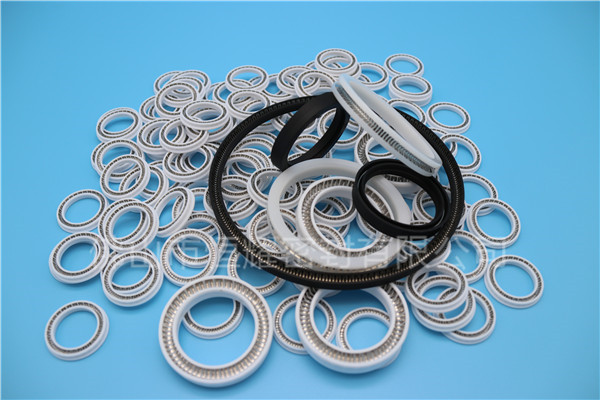 HOB、HVB孔用泛塞封 (12)