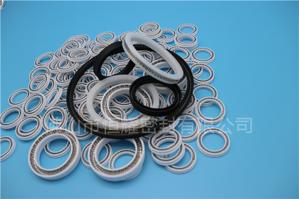 HOB、HVB孔用泛塞封 (13)