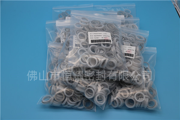 HOB、HVB孔用泛塞封 (17)