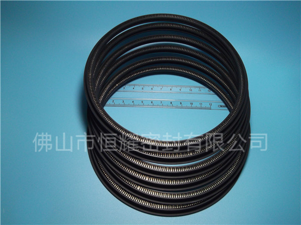 HOD、HVD旋轉(zhuǎn)泛塞封 (12)