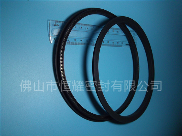 HOD、HVD旋轉(zhuǎn)泛塞封 (15)