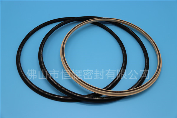 HOD、HVD旋轉(zhuǎn)泛塞封 (17)