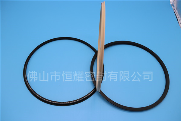 HOD、HVD旋轉(zhuǎn)泛塞封 (18)