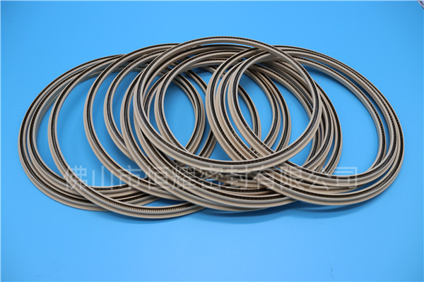 HOD、HVD旋轉(zhuǎn)泛塞封 (19)