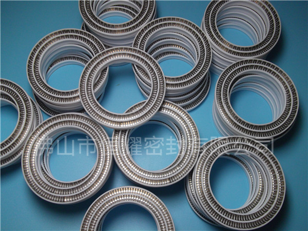 HOC、HVC孔軸兩用泛塞封 (13)