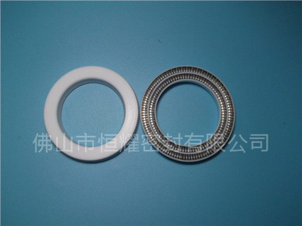 HOC、HVC孔軸兩用泛塞封 (16)