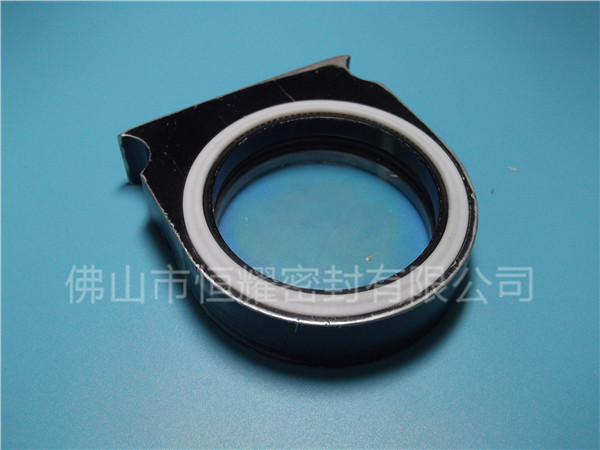 HVF、HVG端面內(nèi)、外向泛塞封 (2)