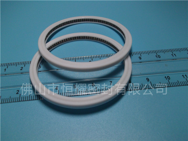 HVF、HVG端面內(nèi)、外向泛塞封 (4)