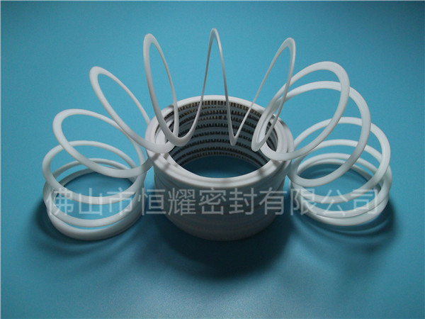 HVF、HVG端面內、外向泛塞封 (7)