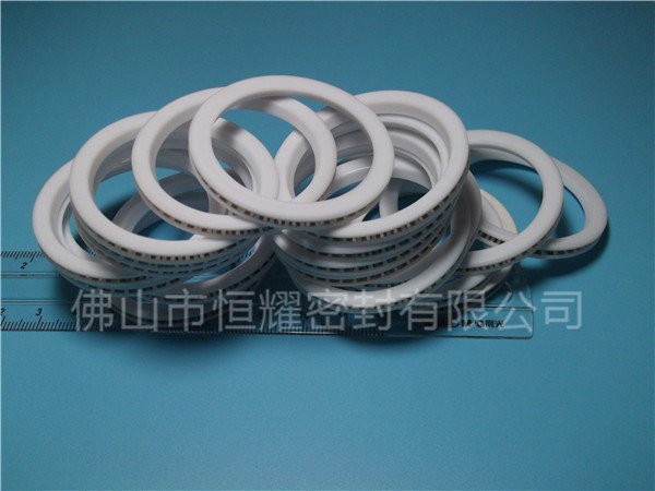 HVF、HVG端面內(nèi)、外向泛塞封 (8)