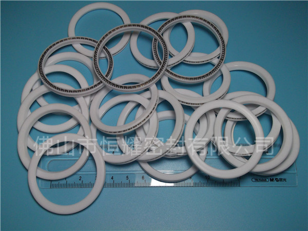 HVF、HVG端面內(nèi)、外向泛塞封 (9)