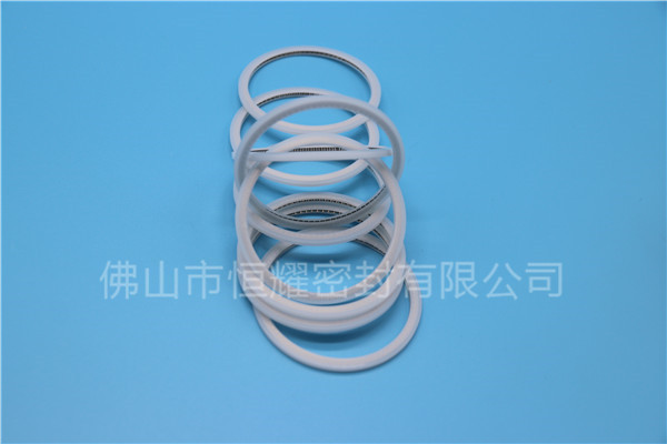 HVF、HVG端面內(nèi)、外向泛塞封 (15)