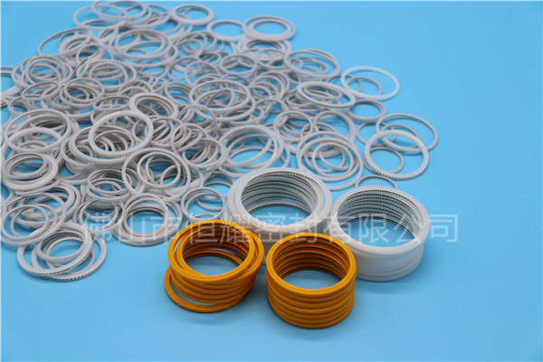 HVF、HVG端面內(nèi)、外向泛塞封 (17)