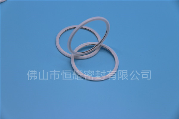 HVF、HVG端面內(nèi)、外向泛塞封 (21)