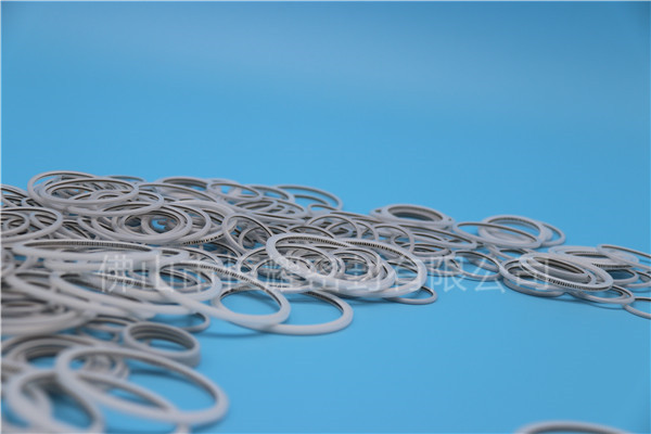 HVF、HVG端面內(nèi)、外向泛塞封 (22)