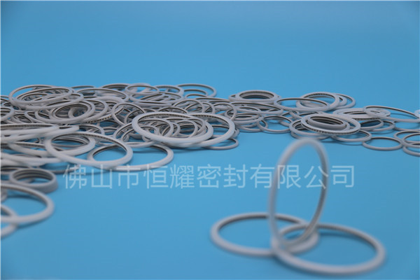 HVF、HVG端面內(nèi)、外向泛塞封 (23)