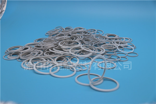 HVF、HVG端面內(nèi)、外向泛塞封 (24)