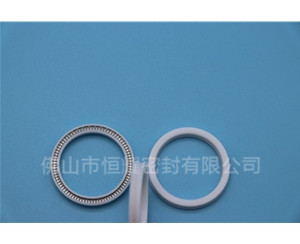 HOA、HVA軸用泛塞封 (16)