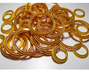 HOD、HVD旋轉(zhuǎn)泛塞封 (4)