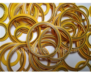 HOD、HVD旋轉(zhuǎn)泛塞封 (5)