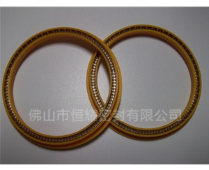 HOD、HVD旋轉(zhuǎn)泛塞封 (6)