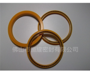 HOD、HVD旋轉(zhuǎn)泛塞封 (8)