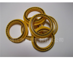 HOD、HVD旋轉(zhuǎn)泛塞封 (9)