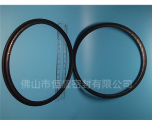 HOD、HVD旋轉(zhuǎn)泛塞封 (13)