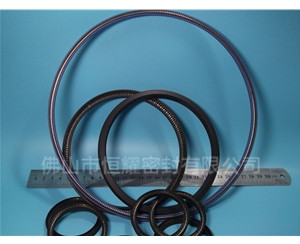 噴涂設(shè)備密封圈 (3)